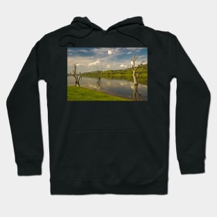 Lake Hume 2 Hoodie